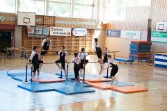 Fête romande 2017 à Guin